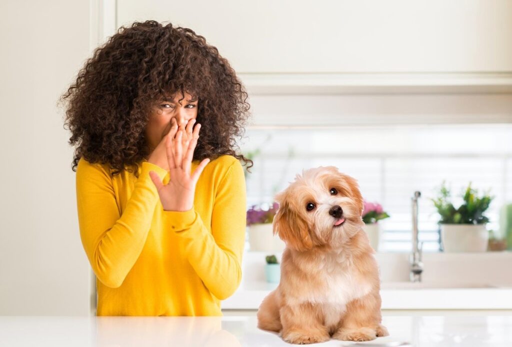 How Do You Get Rid Of A Pet Smell From House With ClO2 Tablets