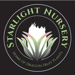 Starlight Nursery