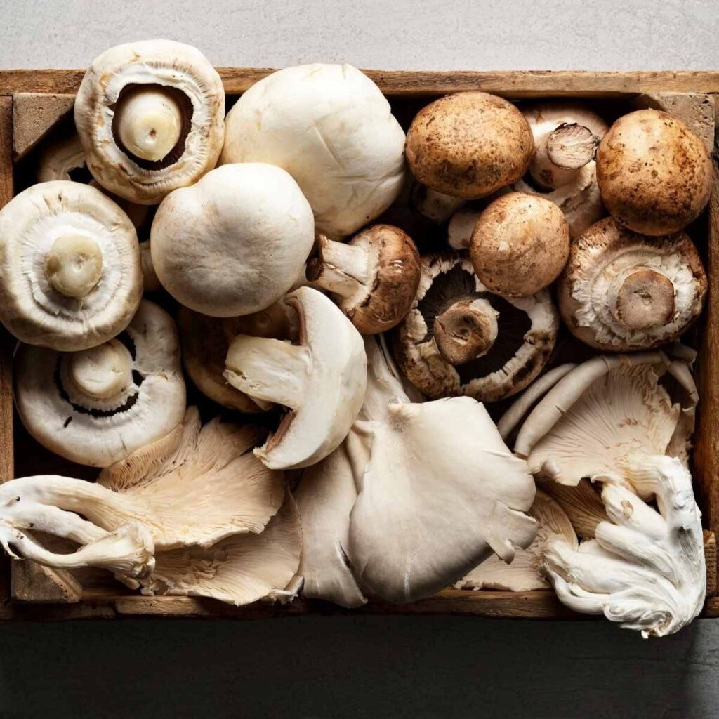 mushroom boxes